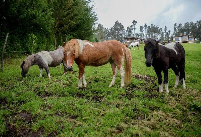 فندق Hacienda Turística La Morería