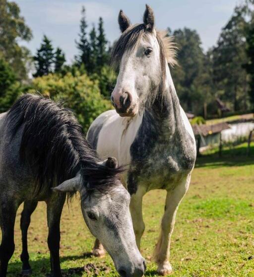 فندق Hacienda Turística La Morería