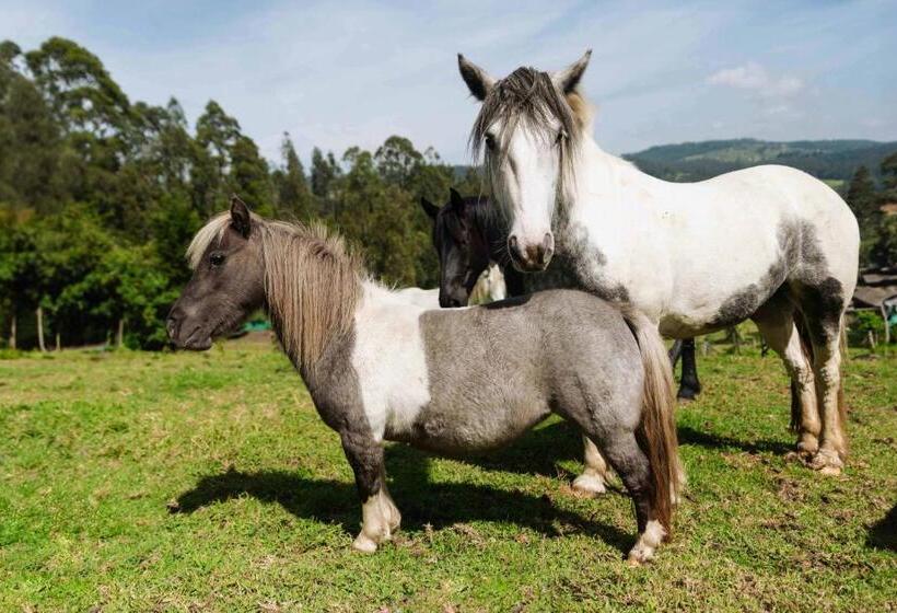 فندق Hacienda Turística La Morería