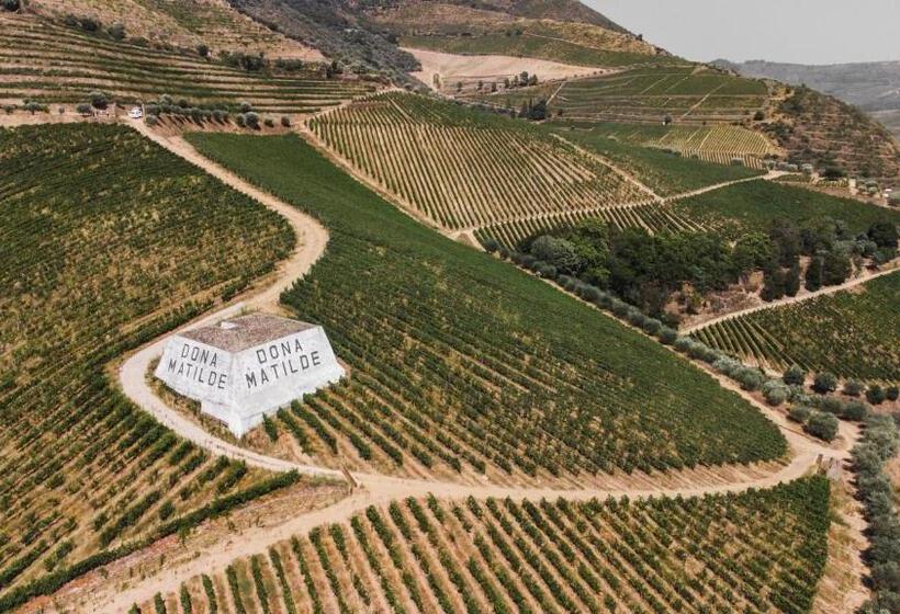 호텔 Quinta Dona Matilde