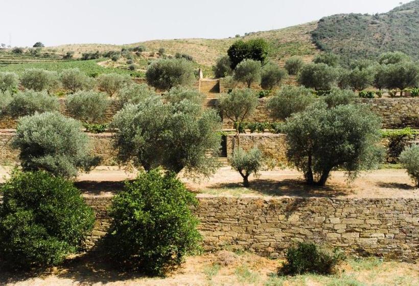 فندق Quinta Dona Matilde