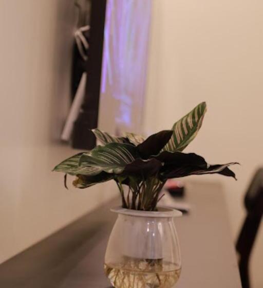 هتل Sao Việt Hth