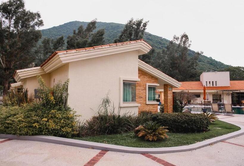 فندق Seis Agaves