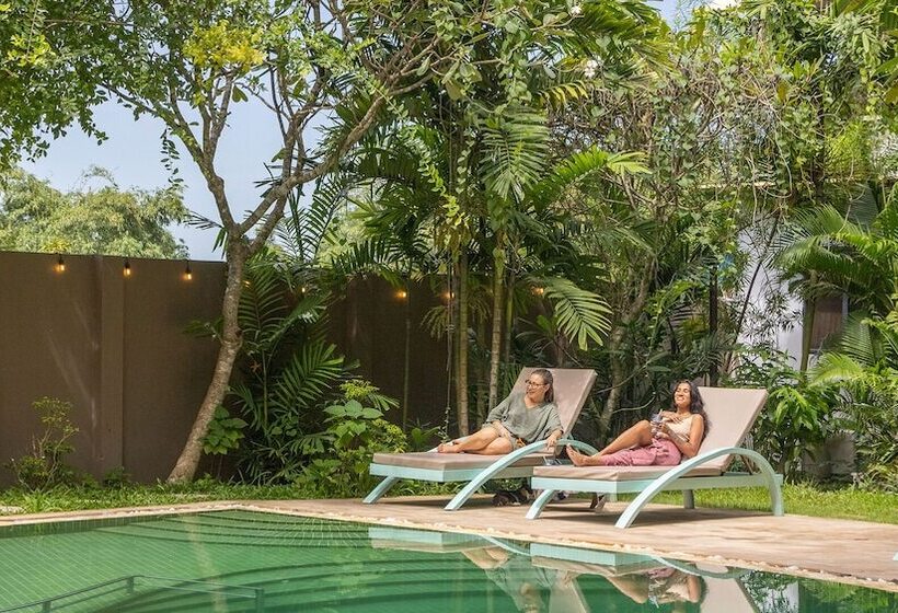 ホテル Through The Looking Glass Wellness Retreat Resort