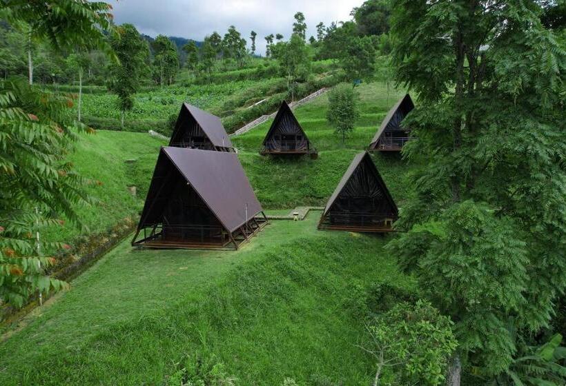 Kema Merbabu Powered By Cocotel