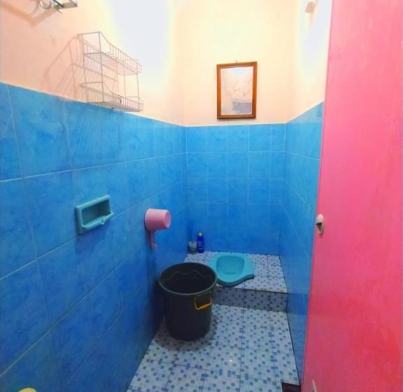 بنسيون Aloha Living