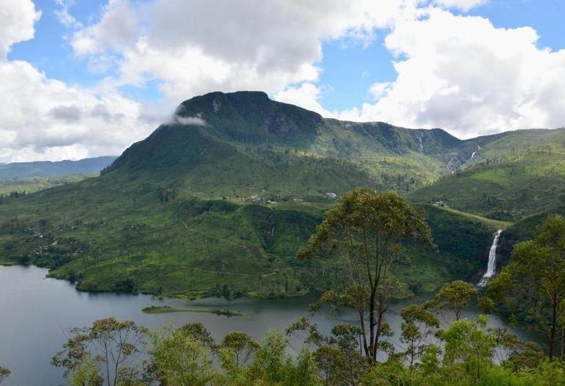 ペンション Blue Sky Guest House And Restaurant