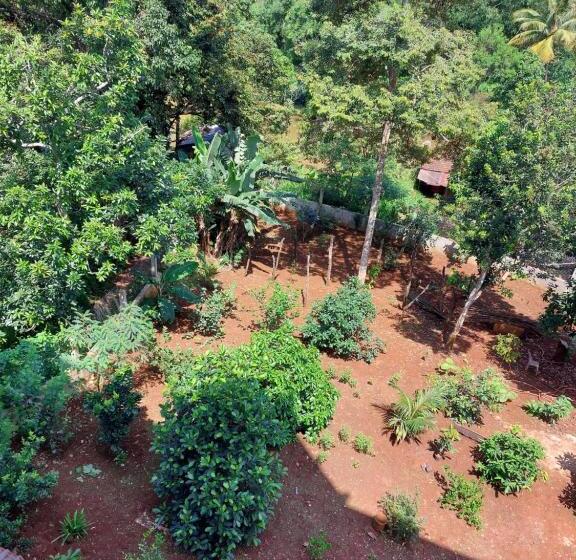 펜션 Bouran Southa