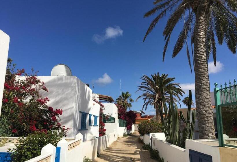 פנסיון Casa Cactus