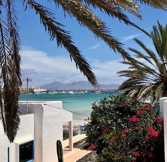 פנסיון Casa Cactus