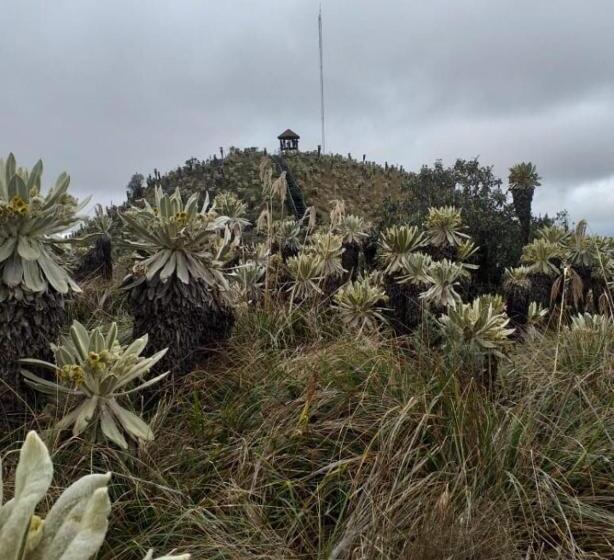 بنسيون El Andarin Home Stay