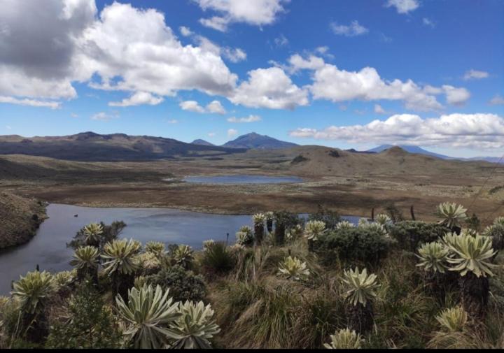 פנסיון El Andarin Home Stay