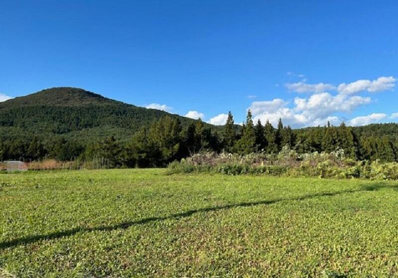 بنسيون Guest House Koriyama