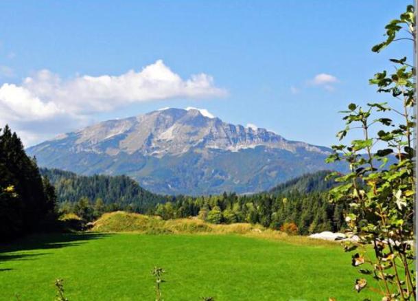 פנסיון Villa Fortuna Budget