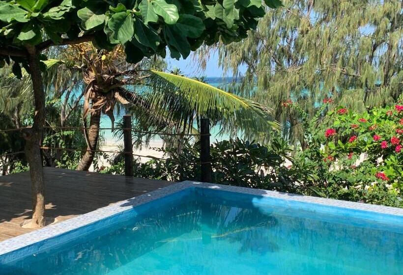 渡假胜地 Zi Dhow Beach Cottage