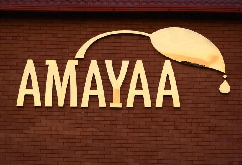 Amayaa Courtyard Homestay