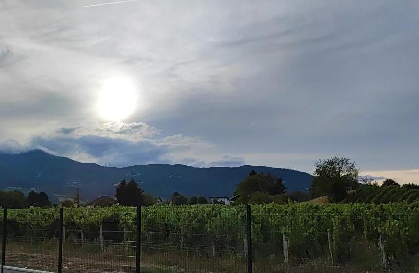 住宿加早餐  Chambre Au Coeur Des Vignes