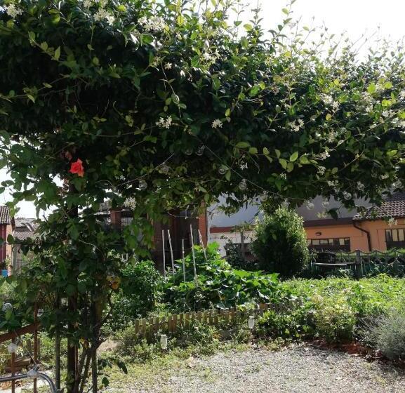 Bed and Breakfast La Casetta Di Pio