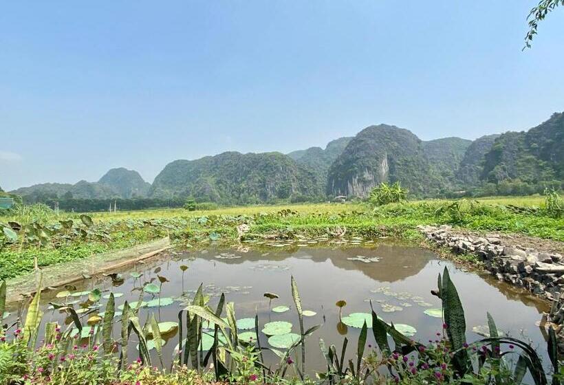 تختخواب و صبحانه Mountain Fields