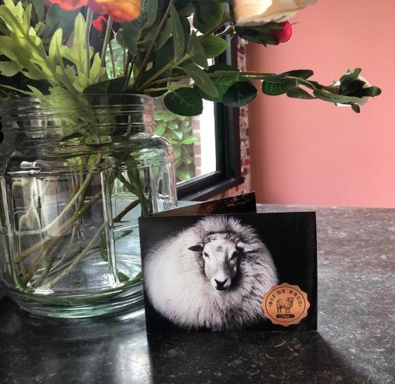 ベッドアンドブレックファースト Slapen Bij De Brug