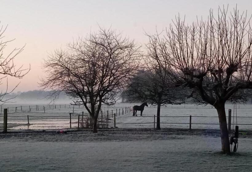 ベッドアンドブレックファースト Slapen Bij De Brug