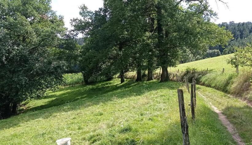 민박 Suite à L Oasis De Chamousset