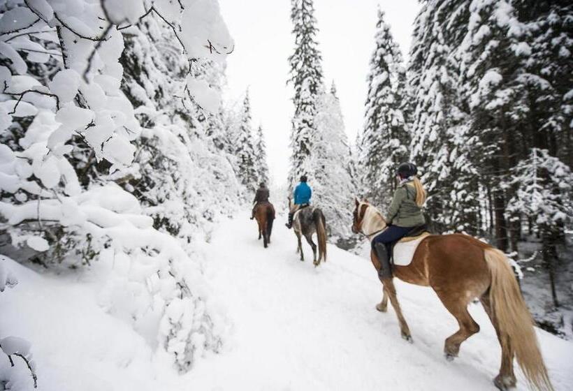 مبيت وإفطار Zimmer Haus Christina