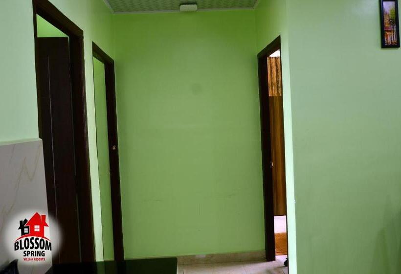 酒店 Blossom Spring Villa