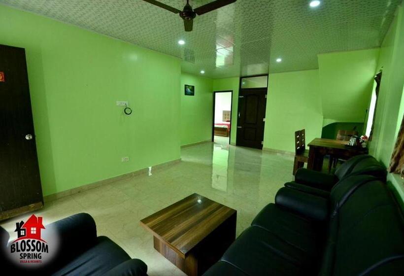 酒店 Blossom Spring Villa