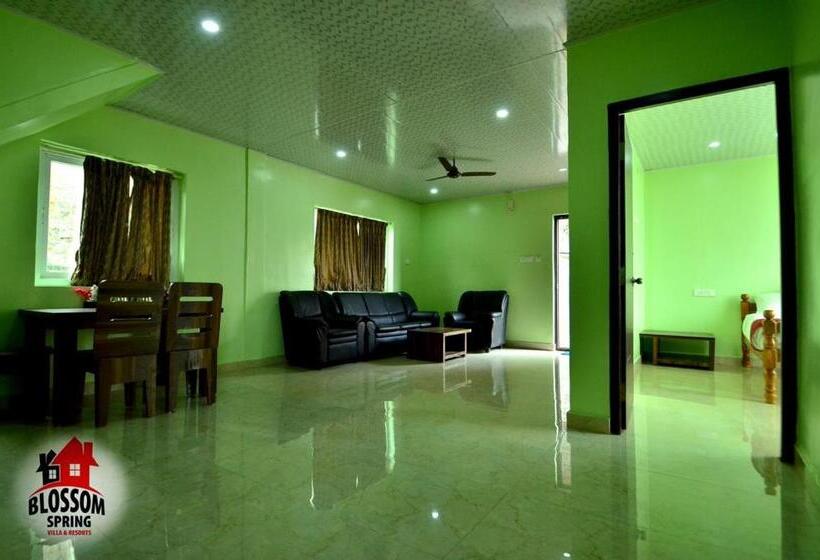 酒店 Blossom Spring Villa