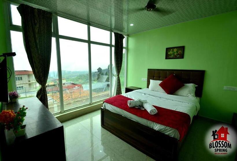 酒店 Blossom Spring Villa