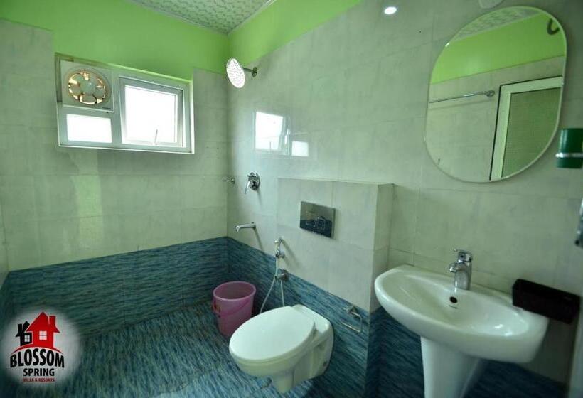 酒店 Blossom Spring Villa