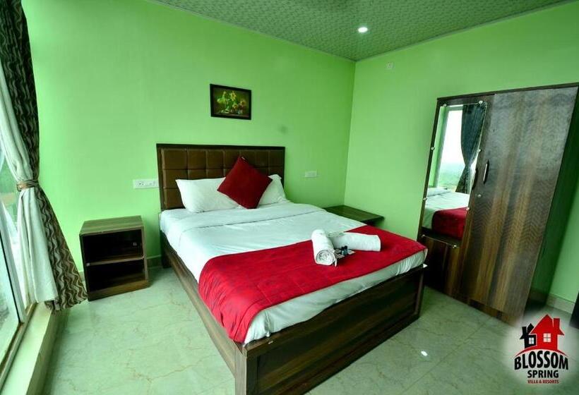 酒店 Blossom Spring Villa