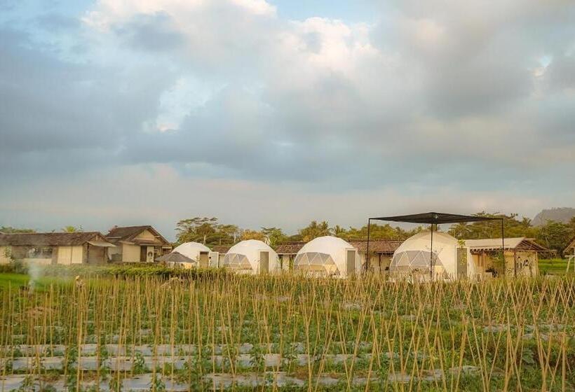 Отель Borobudur Luxury Glamping