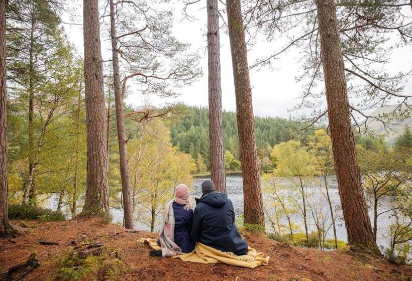 Капсульный Oтель Woodlands House