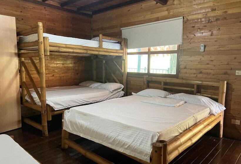 ホテル Hostal La Cabaña De Polo