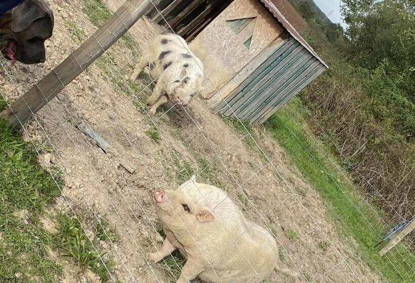 בית מלון כפרי La Bêle & Toile