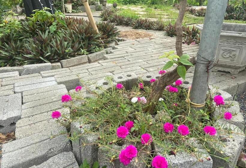 هتل Mountain Fields Homesaty