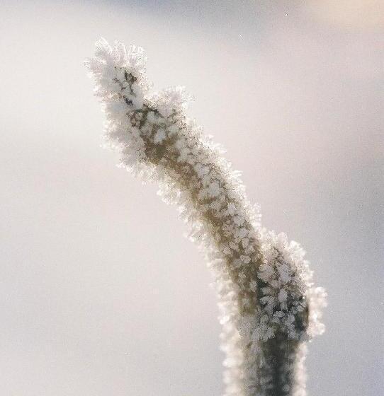 فندق Pension Folklore