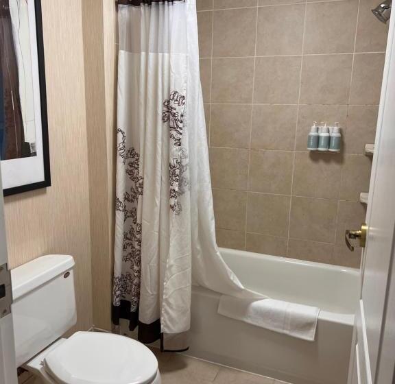 酒店 Queen Bed Available