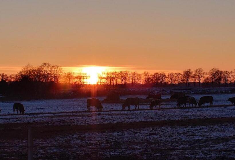 בית מלון כפרי Schützenhaus Lenzen