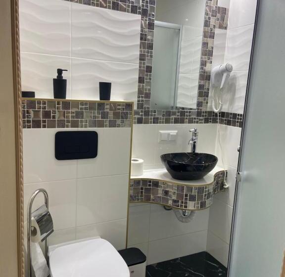 בית מלון כפרי Tys