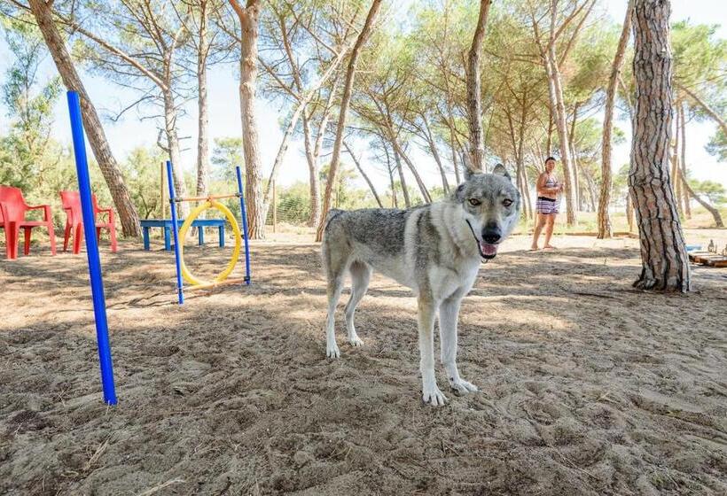 Isa Appartament Standard With Mezzanine, 4 Beds, Air Conditioning And Private Outdoor Area In Villag