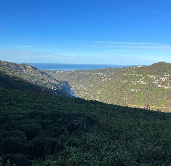 Kalivi Suit Bungalov   2