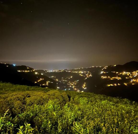 Kalivi Suit Bungalov   2