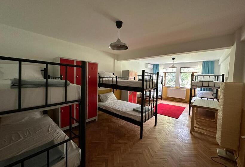 Koza Hostel Coffee & Chill