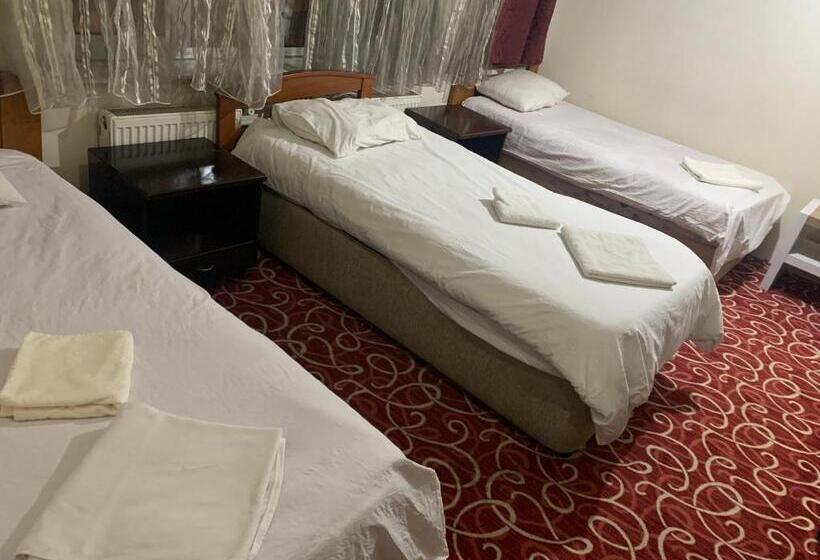 פנסיון Altunlar Erkek ögrenci Yurdu