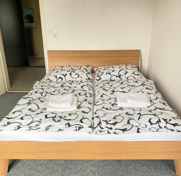 פנסיון Apartment Nähe Linz