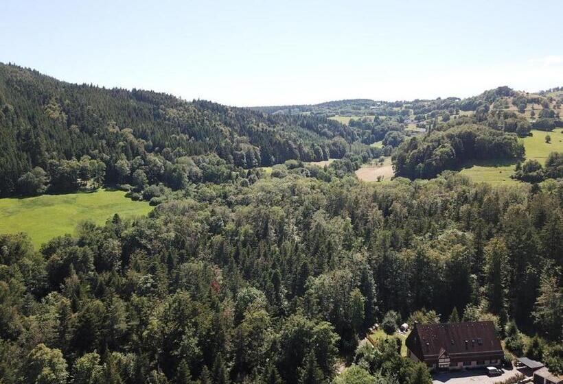 膳宿费 Coté Forêt Maison D Hôtes