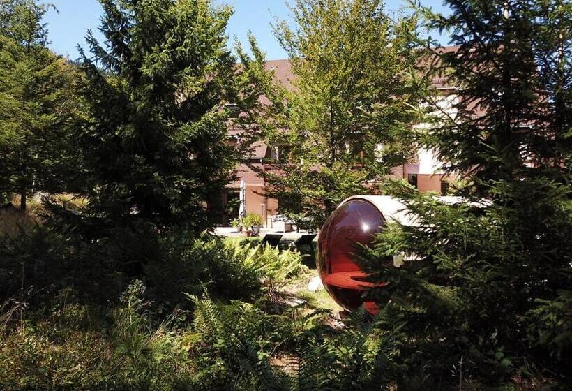 膳宿费 Coté Forêt Maison D Hôtes